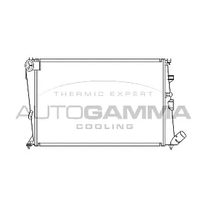 100202 AUTOGAMMA