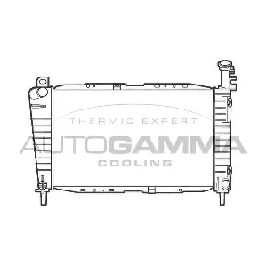101428 AUTOGAMMA