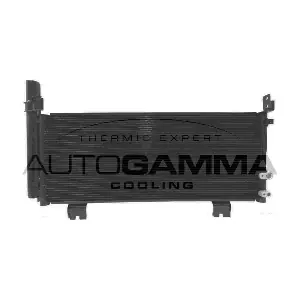 AUTOGAMMA 107881