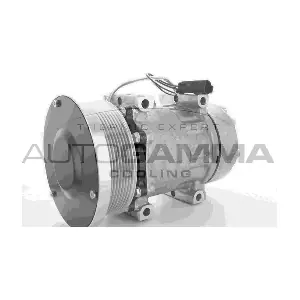 AUTOGAMMA 118471