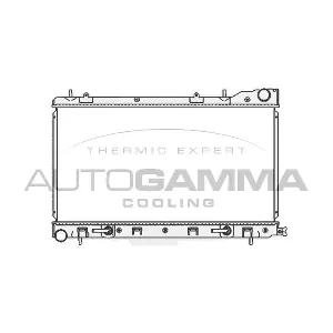 104706 AUTOGAMMA
