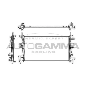 105917 AUTOGAMMA