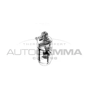 106107 AUTOGAMMA
