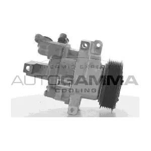 108547 AUTOGAMMA