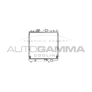 101435 AUTOGAMMA