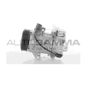 118383 AUTOGAMMA