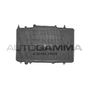 102276 AUTOGAMMA
