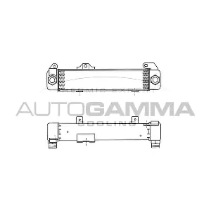 101893 AUTOGAMMA