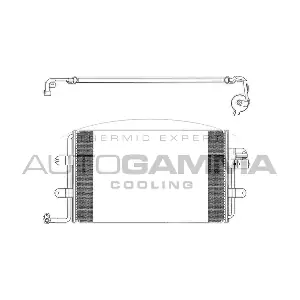 102813 AUTOGAMMA