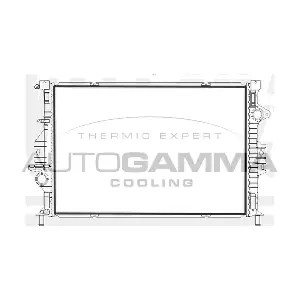 107216 AUTOGAMMA