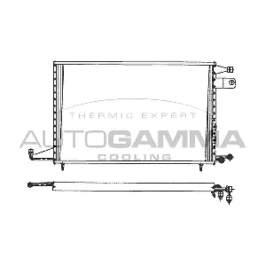 101718 AUTOGAMMA