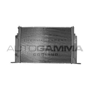 103055 AUTOGAMMA