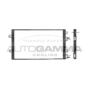 101745 AUTOGAMMA