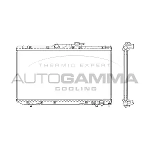 101271 AUTOGAMMA
