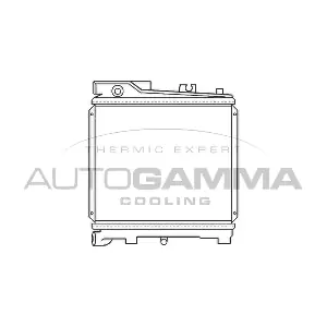 100095 AUTOGAMMA