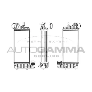 105910 AUTOGAMMA