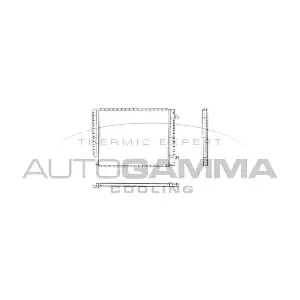 105031 AUTOGAMMA