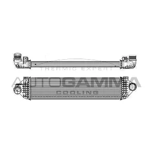 105913 AUTOGAMMA