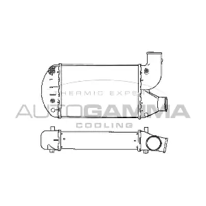 101912 AUTOGAMMA