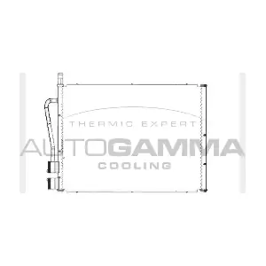 AUTOGAMMA 103132
