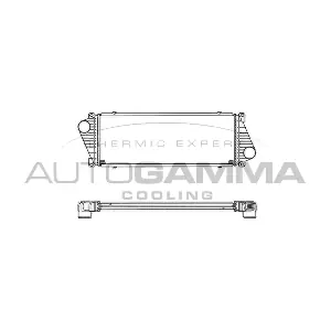 103048 AUTOGAMMA