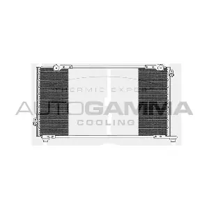 103924 AUTOGAMMA