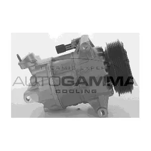 108531 AUTOGAMMA