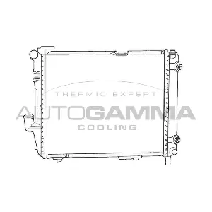 100544 AUTOGAMMA