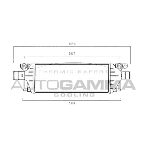 107571 AUTOGAMMA