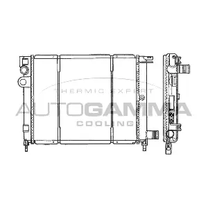 100154 AUTOGAMMA