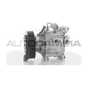 118408 AUTOGAMMA