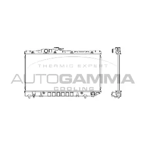 101011 AUTOGAMMA
