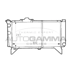 100984 AUTOGAMMA