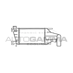 105605 AUTOGAMMA