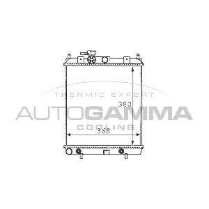 100628 AUTOGAMMA
