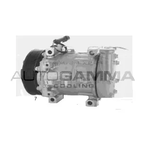 AUTOGAMMA 118567