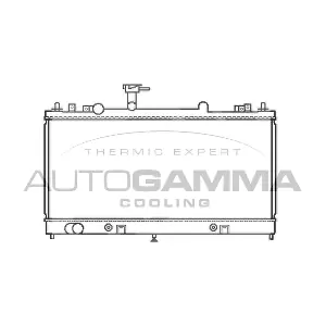 103441 AUTOGAMMA