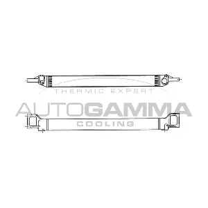 101871 AUTOGAMMA