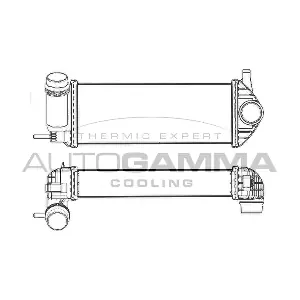 107525 AUTOGAMMA