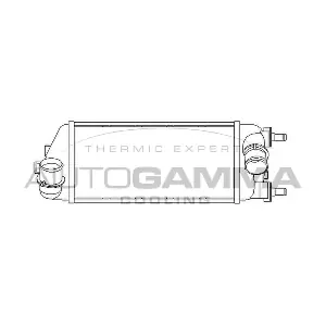105947 AUTOGAMMA