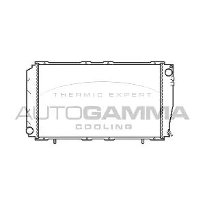 102310 AUTOGAMMA