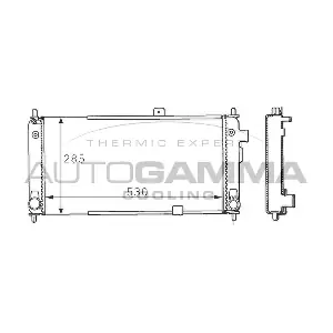 100661 AUTOGAMMA