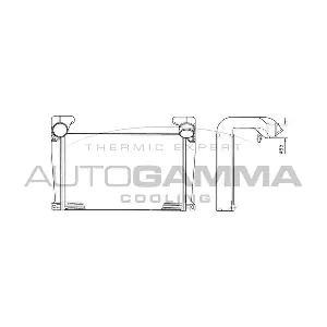 404462 AUTOGAMMA