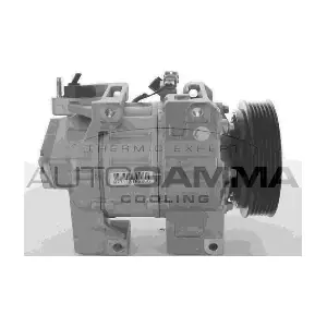 118573 AUTOGAMMA