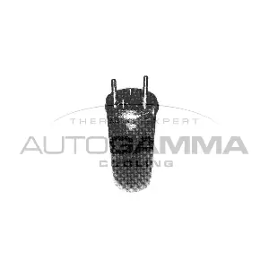 106261 AUTOGAMMA