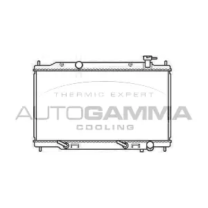 107017 AUTOGAMMA