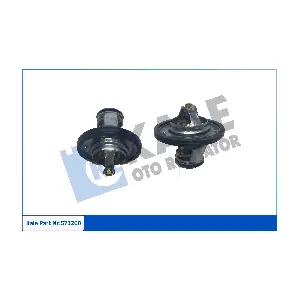 KALE OTO RADYATOR 573200