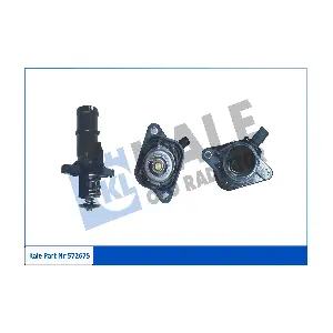 572675 KALE OTO RADYATOR
