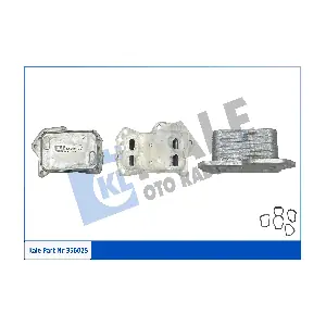 213056795R DACIA