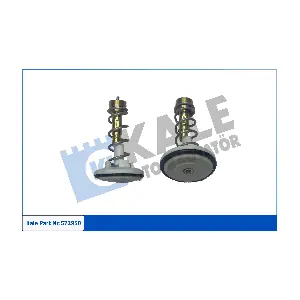 572950 KALE OTO RADYATOR